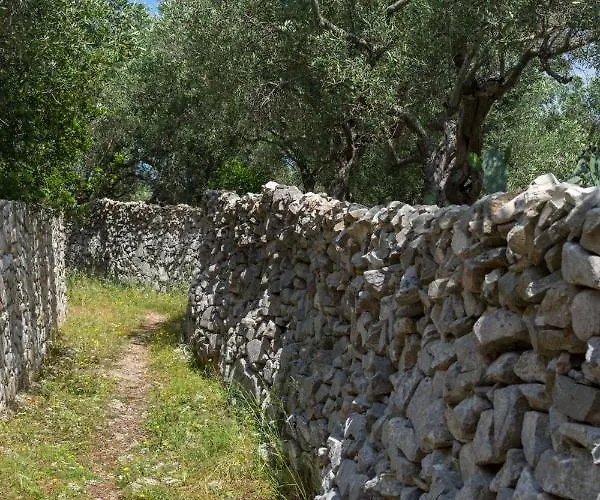 Elaia & No.3 * Gaios